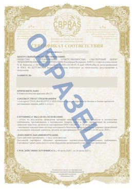 Образец Сертификат СТО 01.064.00220722.2-2020 Городец Сертификат СТО 01.064.00220722.2-2020 